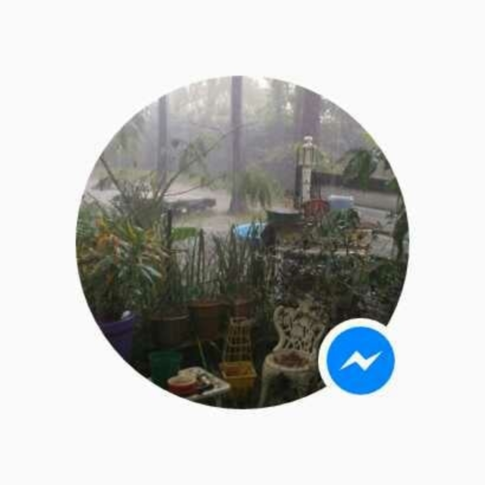 Meet your Posher, Robin